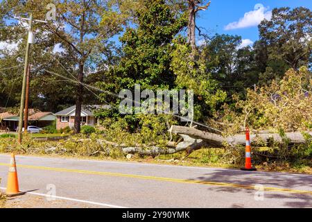 Bei stürmischen Hurrikanen entwurzelten starke Winde den Baum am Boden und verursachten Schäden an allem in der Umgebung Stockfoto