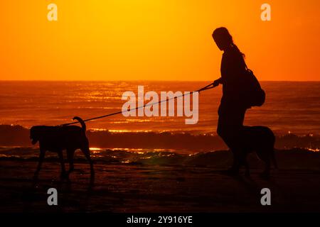 Isle Of Palms, Usa. Oktober 2024. Eine junge Frau geht mit ihren Hunden durch den Sonnenaufgang am Strand, 7. Oktober 2024 in Isle of Palms, South Carolina. Quelle: Richard Ellis/Richard Ellis/Alamy Live News Stockfoto