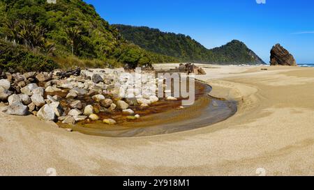 Panorama von Scotts Beach in der Nähe von Kohaihai auf dem Heaphy Track, Kahurangi Nationalpark, Karamea Region, Westküste, Südinsel, Aotearoa / Neuseeland. Stockfoto