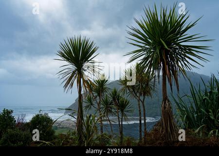 Kohaihai Flussmündung am Beginn der Westküste des Heaphy Track, Kohaihai Lookout Track, Karamea, Südinsel, Aotearoa / Neuseeland Stockfoto