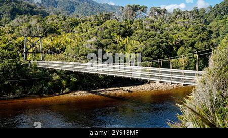 Schwingen Sie die Brücke über den Kohaihai River, Heaphy Track, der Fluss ist braun mit Gerbstoffen gefärbt. Kahurangi Nationalpark, Karamea Region, Neuseeland Stockfoto