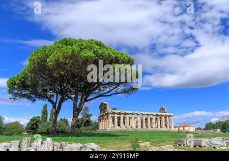 Tempel der Athena in Paestum in Italien. Stockfoto