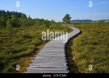 Ein gewundener Holzsteg führt durch eine grüne Landschaft unter blauem Himmel, Schwarzes Moor, Fladungen, Rhoen, Bayern, Deutschland, Europa Stockfoto