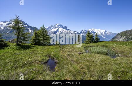 Bergpanorama mit Gletschern, Aiguille Verte mit Aiguille du Midi und Mont Blanc, Wanderung nach Aiguillette des Posettes, Chamonix, Haut Stockfoto