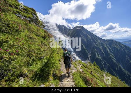 Bergsteiger zwischen Alpenrosen auf einem Wanderweg, beeindruckende Berglandschaft mit Gletscher, Blick auf den Gletscher Glacier de Taconnaz, Wanderung La Jonction Stockfoto