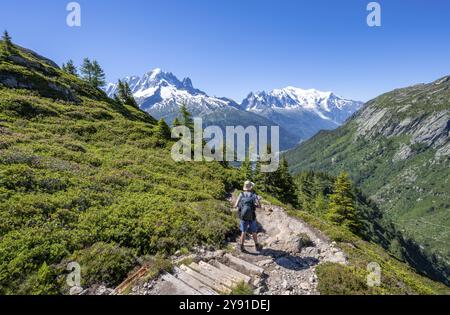 Bergsteiger auf Wanderweg, Bergpanorama mit Gletschern, Aiguille Verte mit Aiguille du Midi und Mont Blanc, Wanderung nach Aiguillette Stockfoto