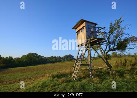 Ein hölzernes Hochgestell steht am Rande eines Feldes unter klarem blauem Himmel in einer herbstlichen Landschaft, Herbst, Grossheubach, Miltenberg, Spessart, Bavari Stockfoto