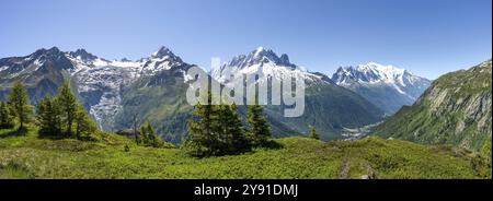 Bergpanorama mit Gletschern, Aiguille Verte mit Aiguille du Midi und Mont Blanc, Wanderung nach Aiguillette des Posettes, Chamonix, Haut Stockfoto