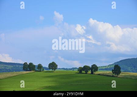 Weite grüne Wiese mit verstreuten Bäumen unter blauem Himmel mit Wolken, Wachtkueppel, Gersfeld, Rhoen, Hessen, Deutschland, Europa Stockfoto