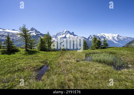 Bergpanorama mit Gletschern, Aiguille Verte mit Aiguille du Midi und Mont Blanc, Wanderung nach Aiguillette des Posettes, Chamonix, Haut Stockfoto