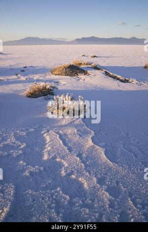 Das Salz schmilzt den Schnee zuerst auf den Flats bei Sonnenuntergang Stockfoto