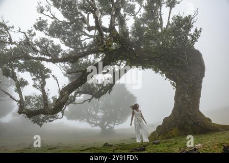 Eine Frau steht unter einem majestätischen, nebeligen Baum, Fanal Pond, Madeira, Portugal, Europa Stockfoto