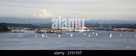 Ein Abend-Boot-Rennen wird auf dem Wasser des Puget Sound Tacoma Washington durchgeführt. Stockfoto