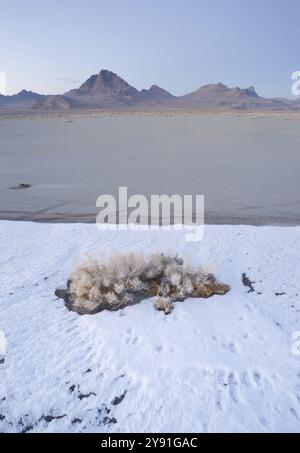 Das Salz schmilzt den Schnee zuerst auf den Flats bei Sonnenuntergang Stockfoto