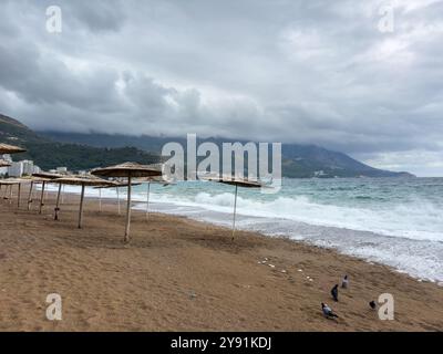 Sonnenschirme mit Schilf oder Strohdach am Strand in Montenegro bei bewölktem Tag Stockfoto