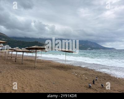 Sonnenschirme mit Schilf oder Strohdach am Strand in Montenegro bei bewölktem Tag Stockfoto