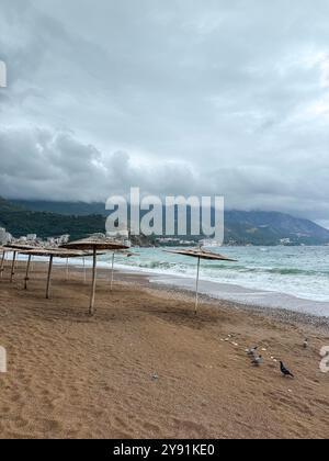 Sonnenschirme mit Schilf oder Strohdach am Strand in Montenegro bei bewölktem Tag Stockfoto