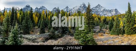 Wunderschöne herbstliche Ausblicke am Sentinal Pass, Larch Valley im September mit leichtem Schnee über die unglaubliche Landschaft im Norden Kanadas, Stockfoto