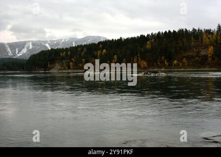 Große Steinvorsprünge in der Mitte des Kanals eines breiten Flusses, der von den schneebedeckten Bergen durch einen dichten Nadelwald auf einer bewölkten A fließt Stockfoto