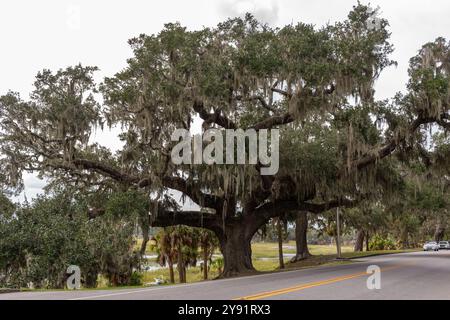 Bay Street, Beaufort, South Carolina Stockfoto