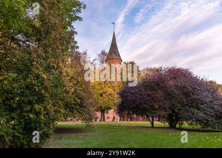 Königsberger Kathedrale auf Kanta oder Kneiphof Insel in Kaliningrad. Russland Stockfoto