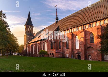 Königsberger Kathedrale auf Kanta oder Kneiphof Insel in Kaliningrad. Russland Stockfoto