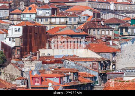 Stadtbild von Porto mit alten alten alten Gebäuden, orangen Dächern und rostigen Wänden im Bau. Rohe Sicht. Stockfoto