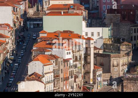 Typische orange Dächer und Straße in Porto von oben fotografiert. Vom Clerigos Church Tower. Stockfoto