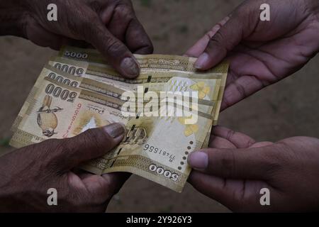 Kalutara, Sri Lanka - 4. Oktober 2024 - Nahaufnahme mehrerer Sri-lankischer Banknoten im Wert von 5000 Sri-lankischen Rupien werden ausgetauscht Stockfoto