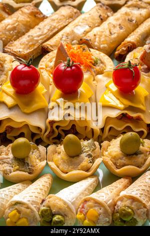 Eine lebhafte Nahaufnahme mit verschiedenen herzhaften Snacks, darunter Lasagna-Brötchen mit Kirschtomaten, Mini-Torten mit Oliven und kegelförmige Vorspeisen. Stockfoto