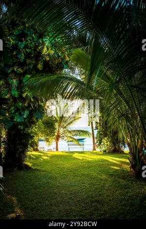 Wunderschöner Blick auf einen exotischen tropischen Garten mit üppigem Laub am Meer, Grand Baie, Mauritius Stockfoto