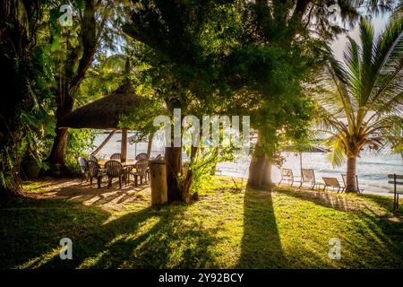 Wunderschöner Blick auf den exotischen tropischen Garten mit üppigem Laub und Picknicktisch am Meer, Grand Baie, Mauritius Stockfoto