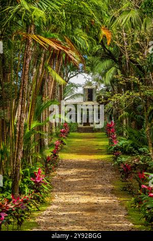 Atemberaubender Postkartenblick auf einen baumbestandenen Gang, der zu einem alten maurer im Kolonialstil am entfernten Ende des Weges führt, Vallée de Ferney, Mauritius Stockfoto