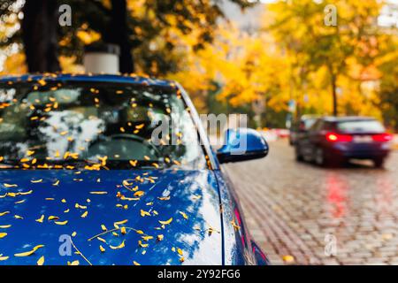 Moody Scenic View modernes blaues Auto Windschutzscheibe bedeckt goldene gelbe gefallene Blätter geparkt nasse Stadtstraße am herbstlichen regnerischen Tag. Bewölkter Himmel, Regenstraße Stockfoto