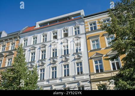 Altbauten, Rykestraße, Prenzlauer Berg, Pankow, Berlin, Deutschland *** Altbauten, Rykestraße, Prenzlauer Berg, Pankow, Berlin, Deutschland Stockfoto