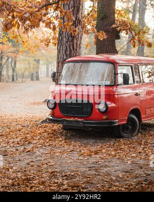 Roter klassischer Barkas B1000 Van im Herbstwald. Vorderansicht des ostdeutschen Minibusses. Stockfoto