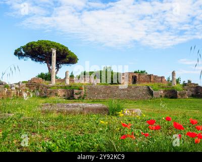 Tempio Rotondo (runder Tempel) - der Tempel wurde in der ersten Hälfte des 3. Jahrhunderts n. Chr. in einem Gebiet errichtet, das zuvor von einem öffentlichen Platz besetzt war, der von der Basilika - dem archäologischen Park von Ostia antica aus zugänglich ist Stockfoto