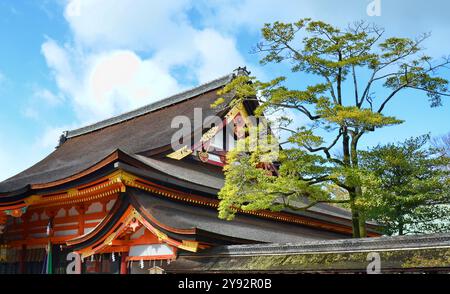 Haupthalle (Honden) des Yasaka-Schreins in Kyoto, Japan. Diese Architektur wird Gion-Zukuri-Stil genannt. Stockfoto