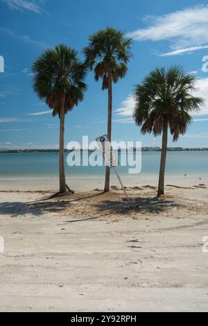 Clearwater, FL, USA - 2. Oktober 2024 - Ein Parkplatzschild zwischen Palmen an einem Florida Beach Stockfoto