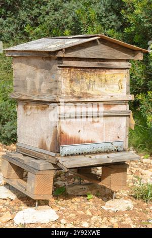 Ein rustikaler Holzbienenstock vor saftig grünem Laub, Bienenstock auf dem Land, Bienenzucht, Naturkonzept auf mallorca, spanien balearen Inseln Stockfoto