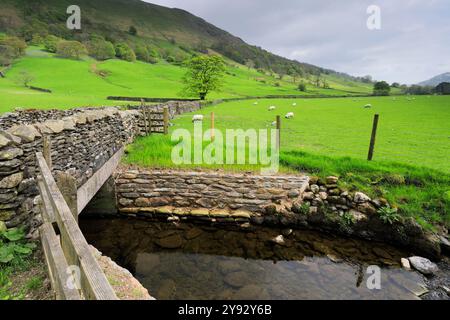 Sommerblick auf das Longsleddale Valley in der Nähe von Sadgill Village, Lake District National Park; Cumbria; England Stockfoto