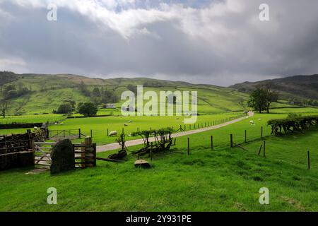 Sommerblick auf das Longsleddale Valley in der Nähe von Sadgill Village, Lake District National Park; Cumbria; England Stockfoto