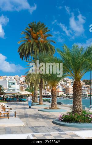 Sitia Bay Kreta, Blick im Sommer auf die Hafenpromenade in Sitia Bay, Lasithi, Griechenland Stockfoto