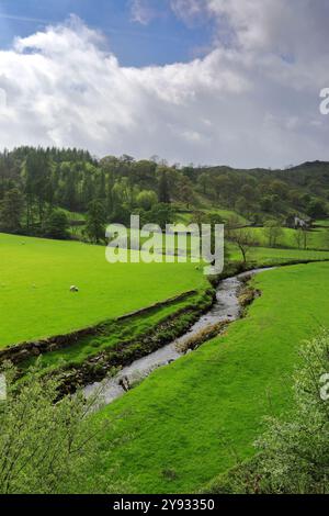 Sommerblick auf den Fluss Sprint im Longsleddale Valley in der Nähe von Sadgill Village, Lake District National Park; Cumbria; England Stockfoto