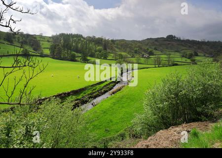 Sommerblick auf das Longsleddale Valley in der Nähe von Sadgill Village, Lake District National Park; Cumbria; England Stockfoto