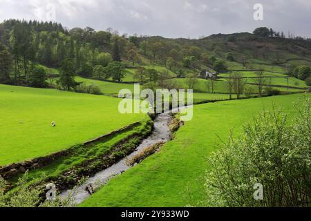 Sommerblick auf das Longsleddale Valley in der Nähe von Sadgill Village, Lake District National Park; Cumbria; England Stockfoto