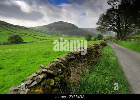 Sommerblick auf das Longsleddale Valley in der Nähe von Sadgill Village, Lake District National Park; Cumbria; England Stockfoto