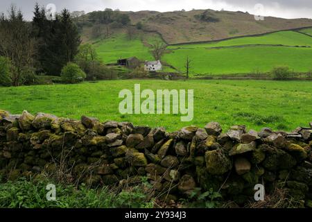 Sommerblick auf das Longsleddale Valley in der Nähe von Sadgill Village, Lake District National Park; Cumbria; England Stockfoto