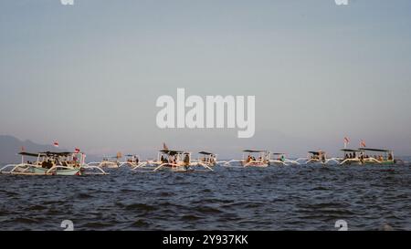 Delfinbeobachtung, Lovina Bali Stockfoto