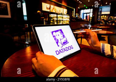 In dieser Abbildung wird ein Datadog-Logo auf dem Bildschirm eines Smartphones angezeigt. Stockfoto